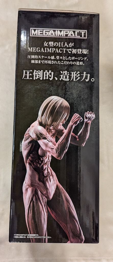 A賞 女型の巨人