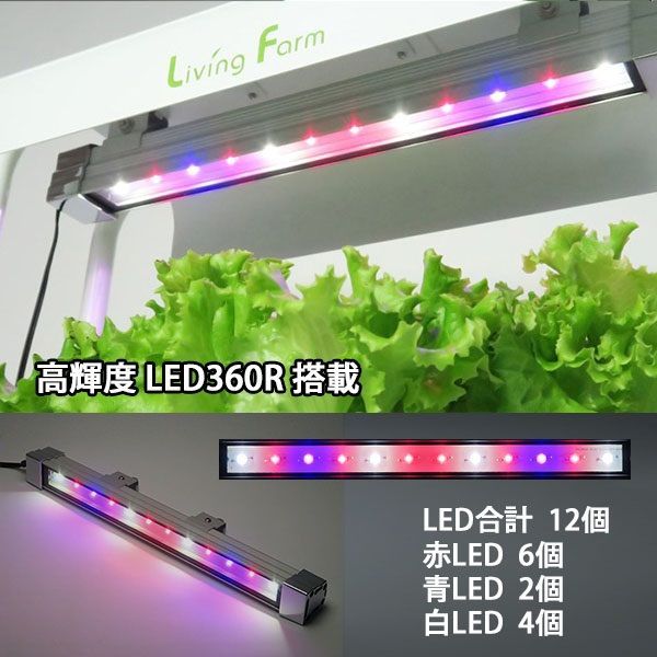 小型水耕栽培器 ココベジtn