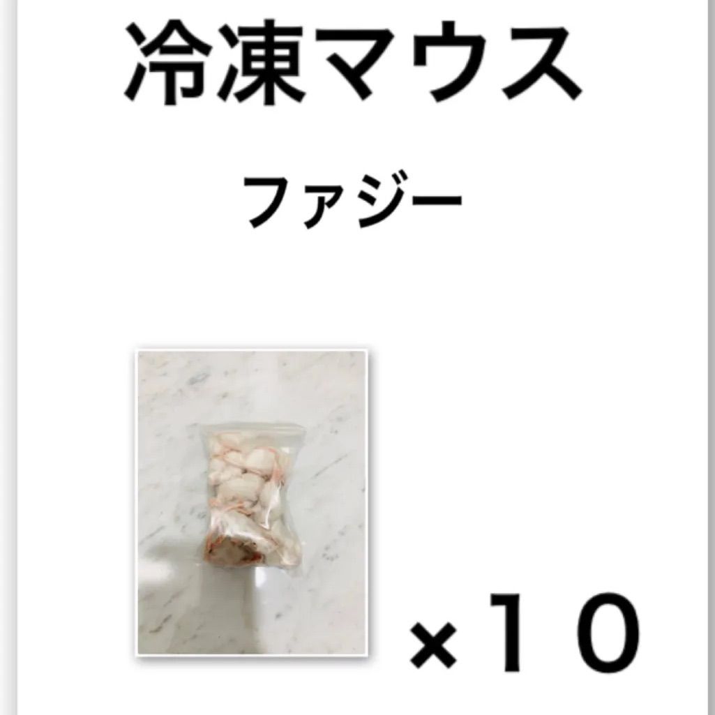Amazon | 渡辺俊明 「いつも微笑」 仏様 絵画 蓮 花 墨彩画 和風 額