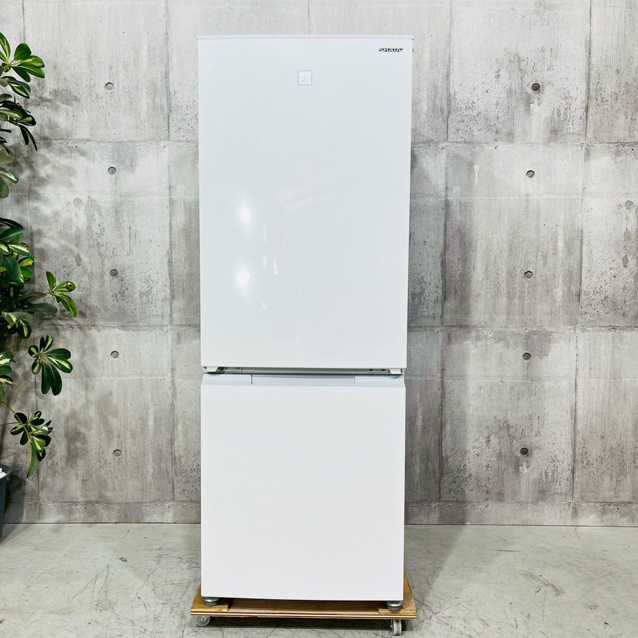 ️SHARP a4118 2ドア冷蔵庫 179L 11 ️