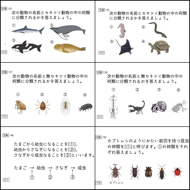 中学受験 暗記カード 理科 生物 サピックス 予習シリーズ コア