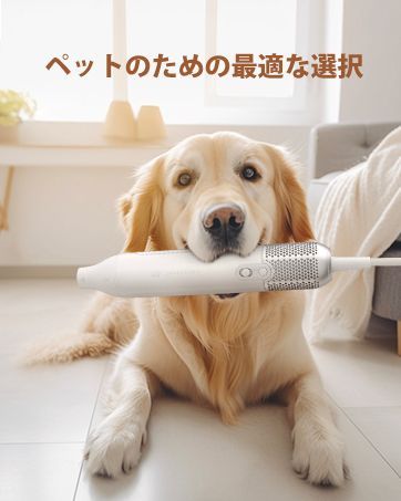 家庭用および旅行用 PSE認証