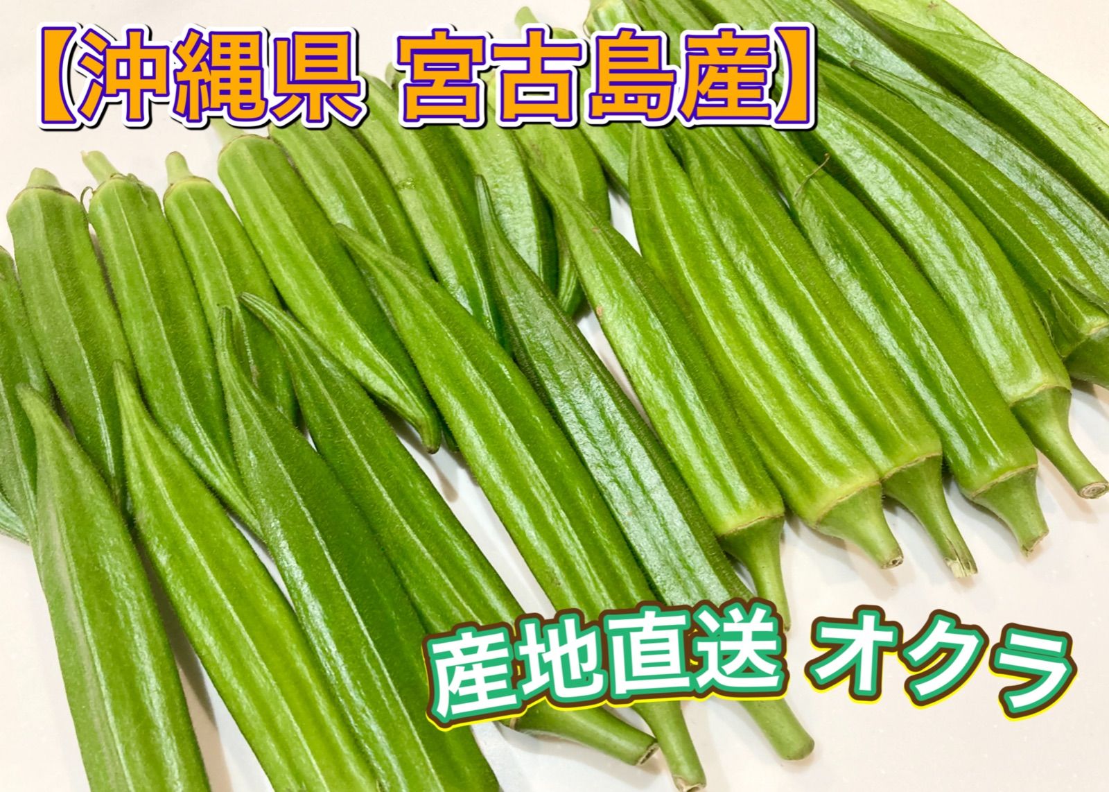 オクラ 沖縄県 宮古島産 格安販売の - 野菜