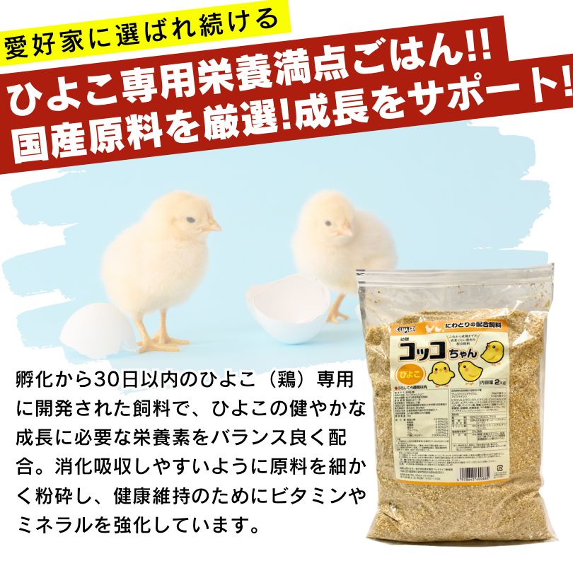 消化吸収 高タンパク質