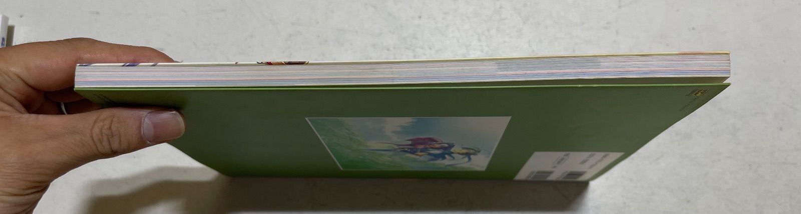 点心爛漫 : カオスシード設定資料集 Softbank - カオスシ－ド