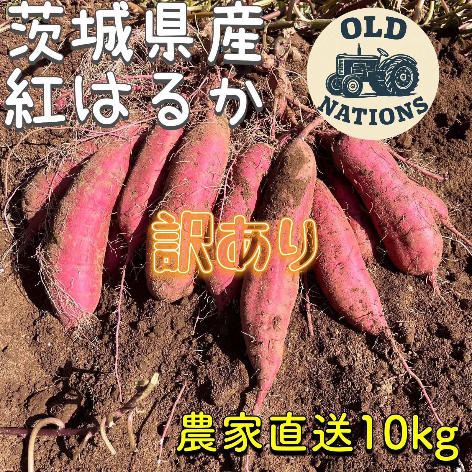 茨城県産 紅はるか 訳あり 10kg 新品 - メルカリ