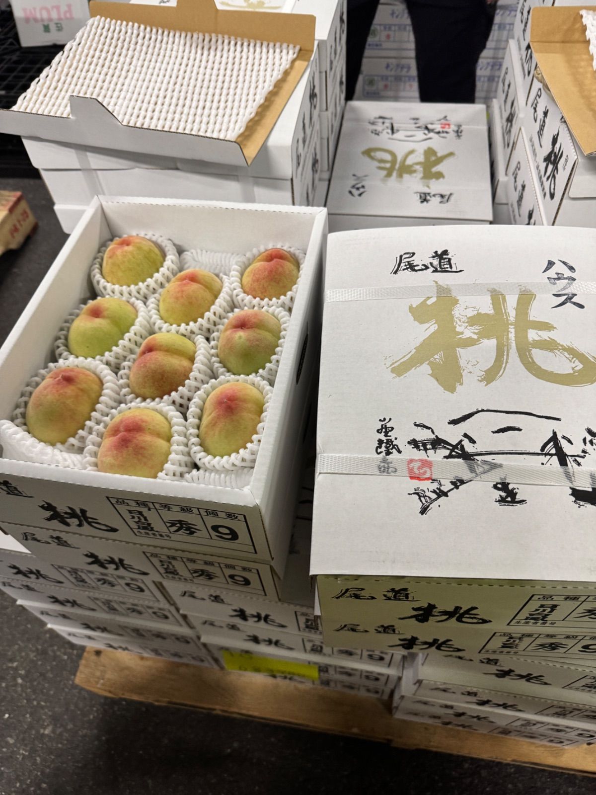 桃 クール便 激うま4箱セット ハウス尾道産 桃