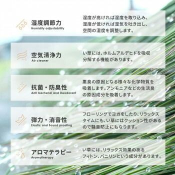 撥水 い草ラグ