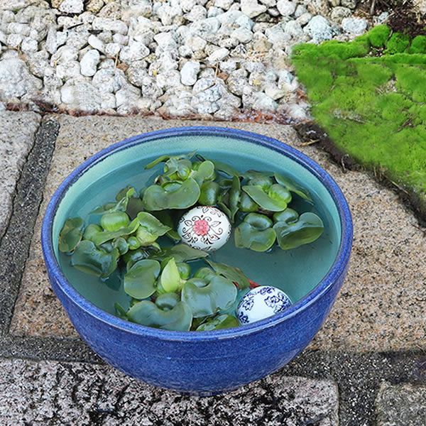 信楽焼 陶器 水鉢 メダカ鉢 金魚鉢 睡蓮鉢 11号ナマコ色水鉢 su-0275