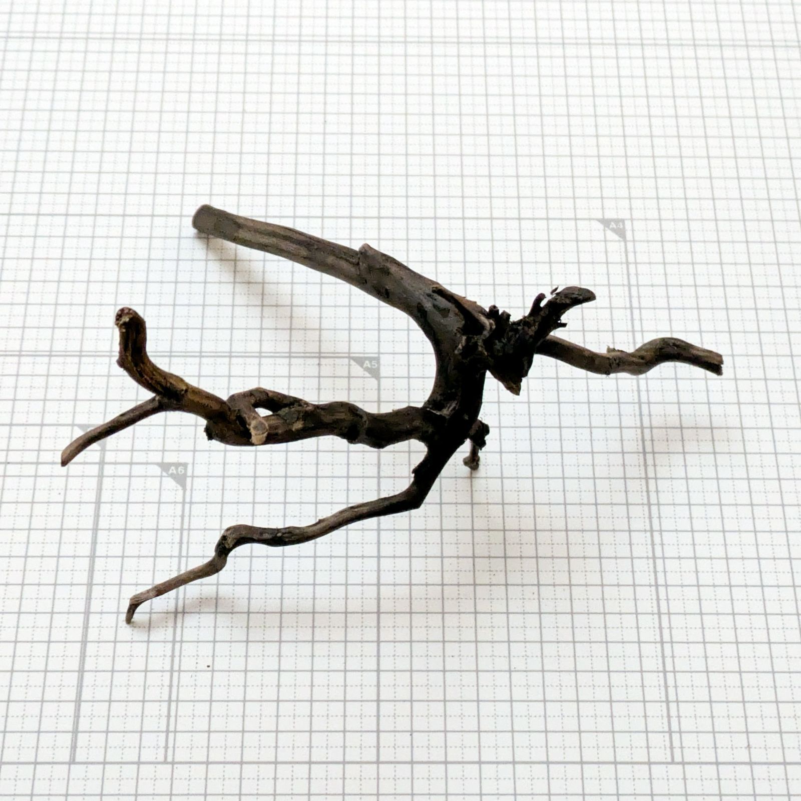 約25x20x13cm ブラックブランチウッドS 複数同時購入で2品目以降50