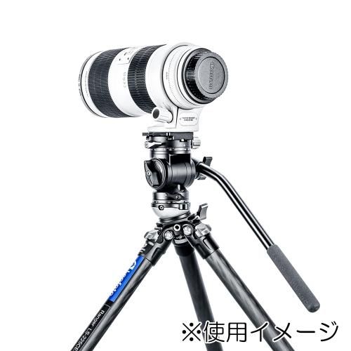レオフォト