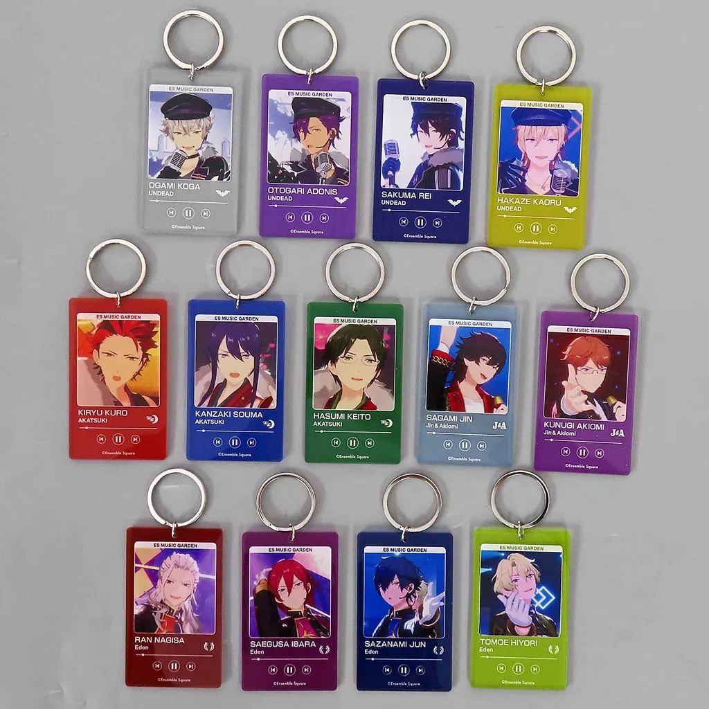 希少 リュージュ REUGE MUSICオルゴール 30弁 替えディスク6枚