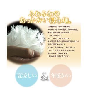 単品 掛け布団 モスグリーン ダブル 新20色羽根掛布団 代引不可