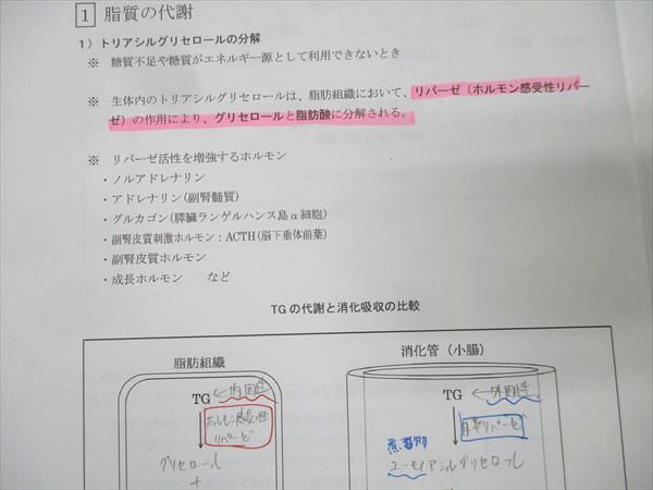 AB05-017 REC e-ラーニング 大阪薬科大学 薬剤師国家試験対策