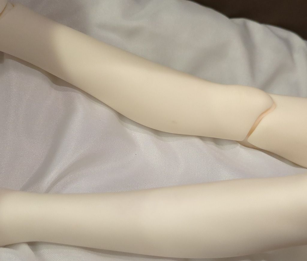 フルチョイス F-01