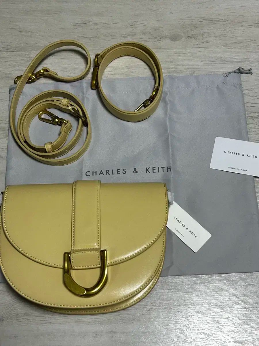 CHARLES - KEITH チャールズアンドキース Gabine Saddle Bag