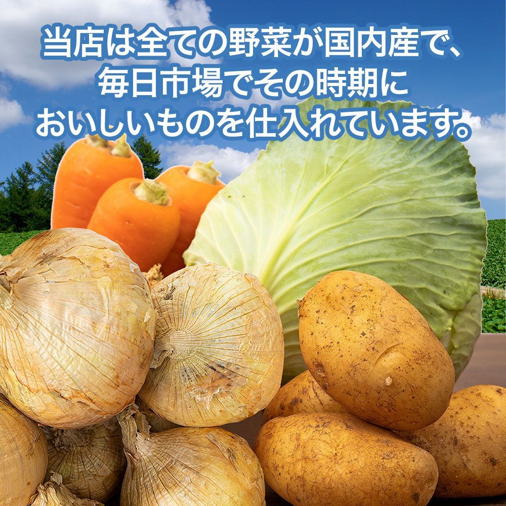 野菜セットB キャベツ5玉