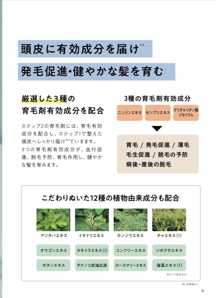 5＋1キャンペーン 期間