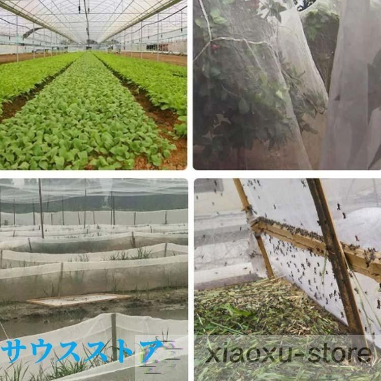 1mm目 野菜栽培