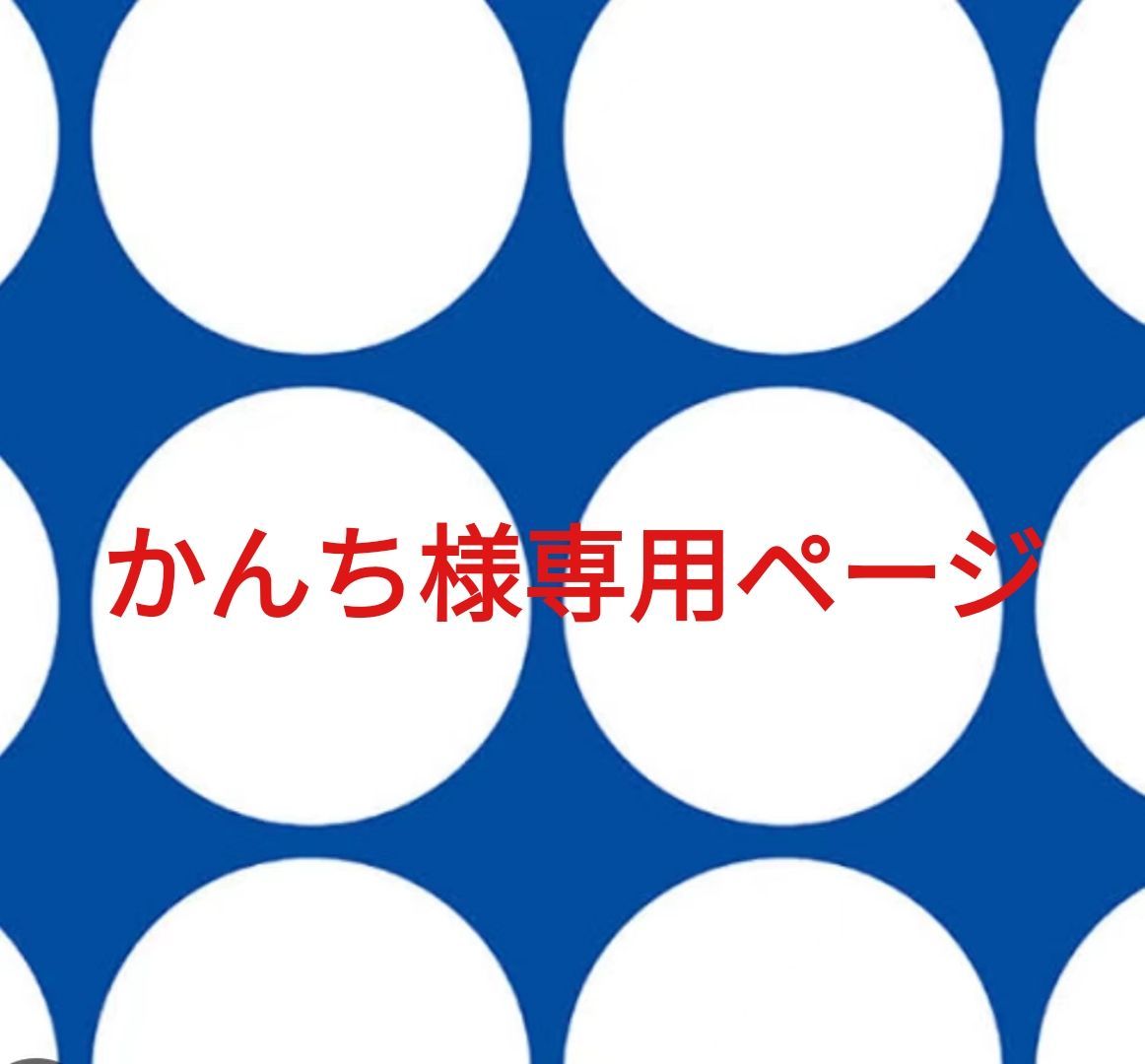 かんち様専用ページです。 - メルカリ