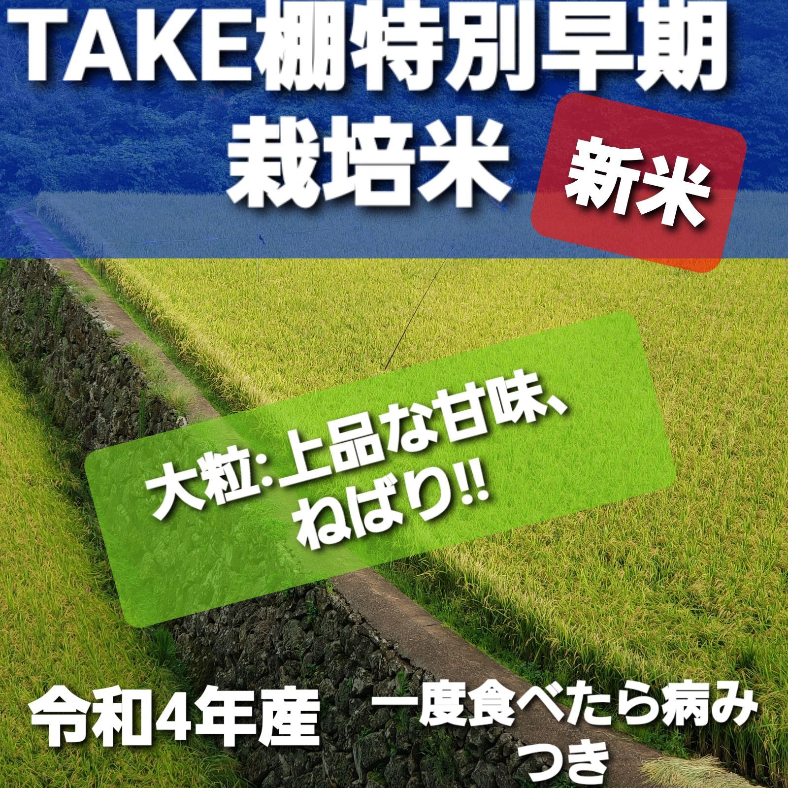 訳あり品送料無料 令和4年産棚田で育った特Aさがびより20キロ新米