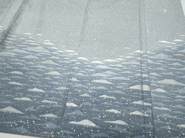 平和屋着物●石川県指定無形文化財　牛首紬　白山工房　手織り　訪問着　立波文　金彩　証紙付き　正絹　逸品　未使用　CAAS8643vf 平和屋着物○石川県指定無形文化財 牛首紬 白山工房 手織り 訪問着