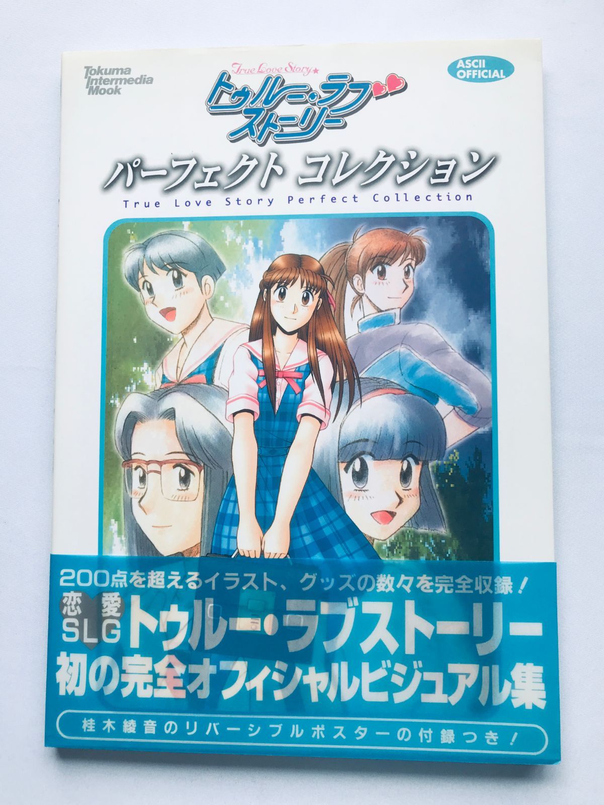 true love story　　トゥルー・ラブストーリー 　販促非売品ポスター トゥルー・ラブストーリー パーフェクトコレクション 帯