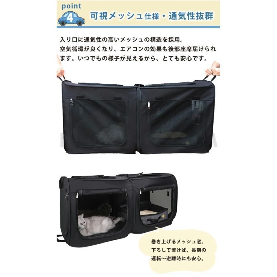 犬 猫