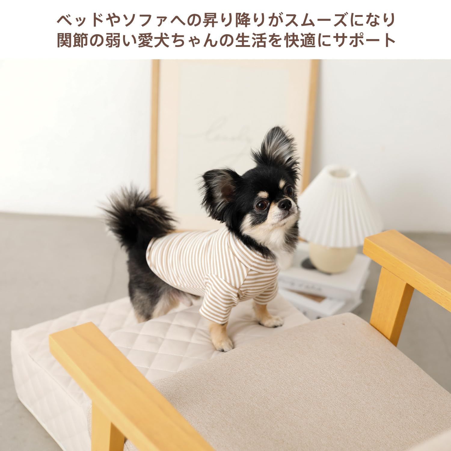 モンシェリ　ドッグステップ　ドッグスロープ モンシェリ ドッグステップ ドッグスロープ モンシェリ ドッグステップ