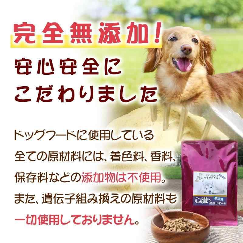 Dr宿南のキセキのごはん 心臓の健康サポート ドッグフード1kg×3袋 Dr.宿南のキセキのごはん 心臓の健康サポート ドッグフード 犬用