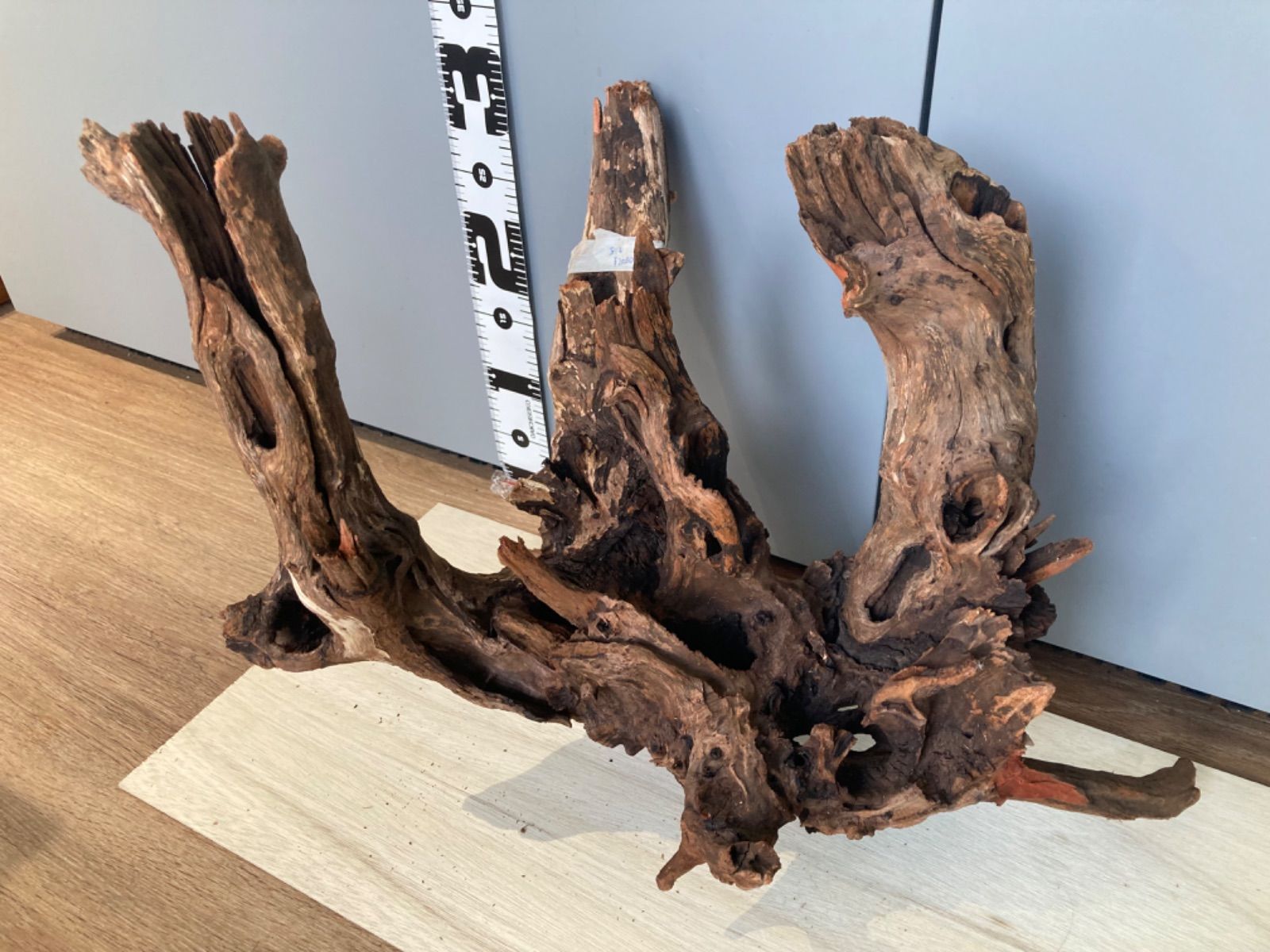 ADA ホーンウッド13 【公式通販】