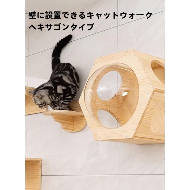 キャットウォーク