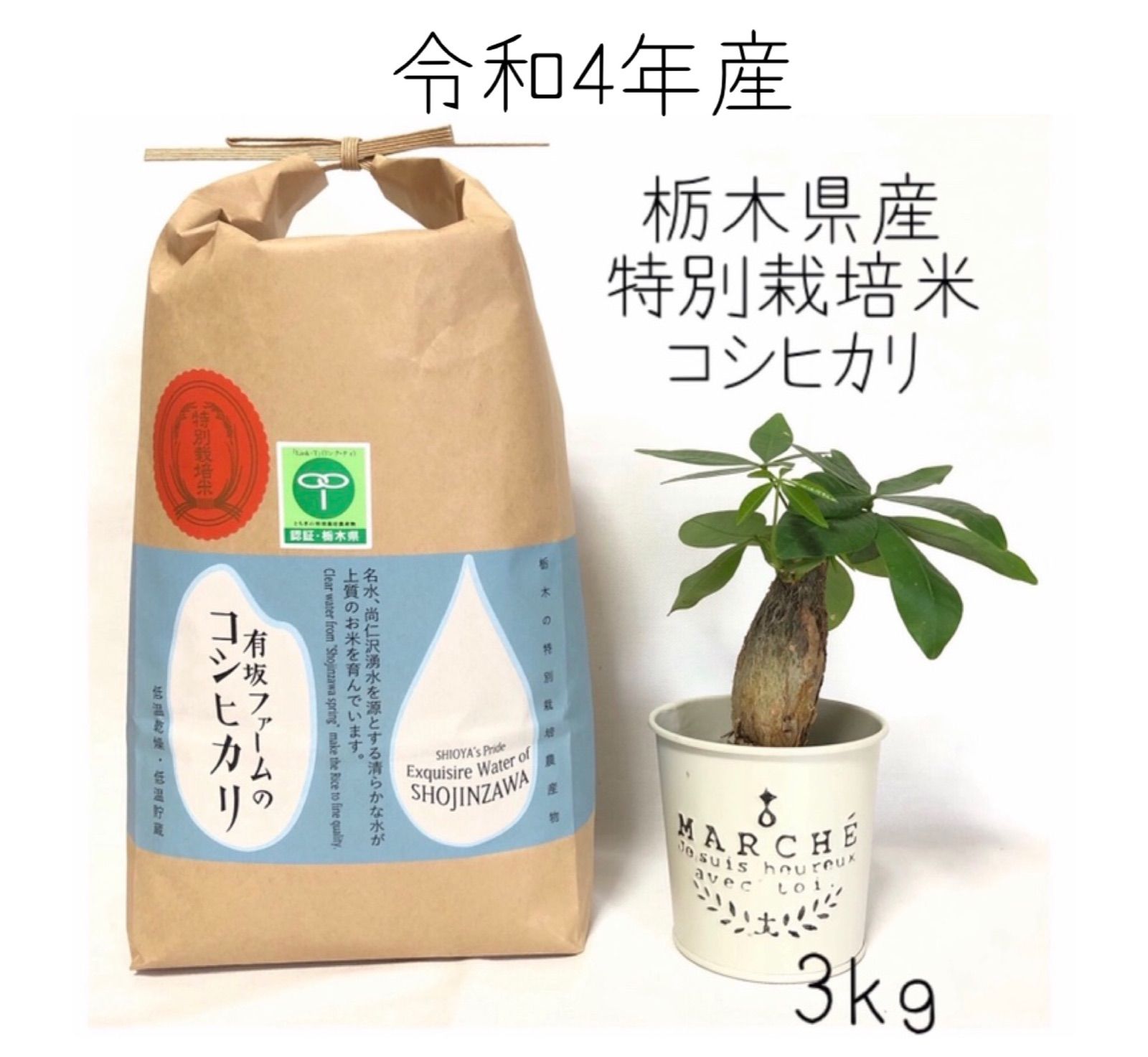 玄米甘酒濃縮タイプ500ml - その他