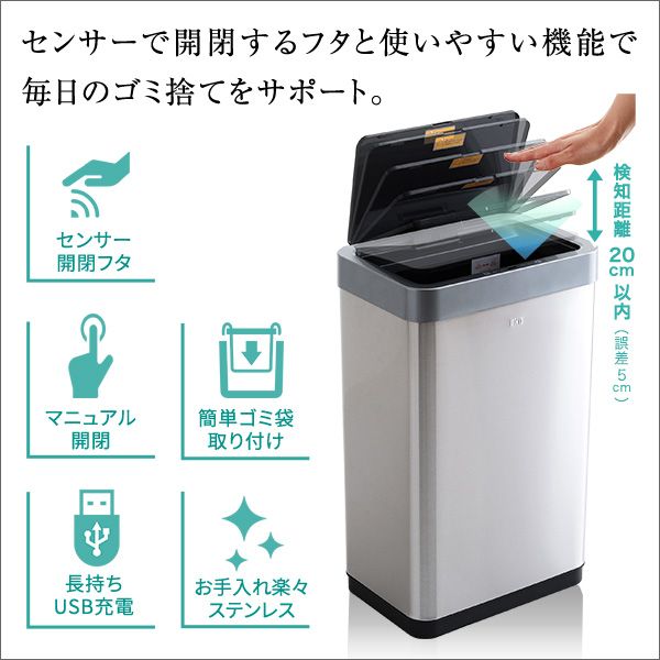 ギムノカリキウム 緋牡丹錦 × 中川智治 クレーターポット 鉢