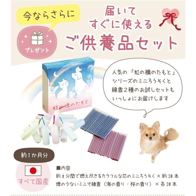 6寸