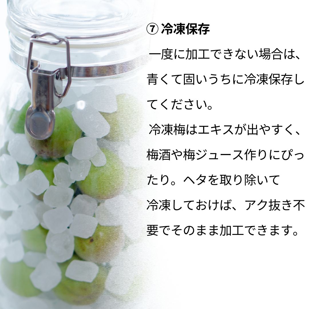 小梅