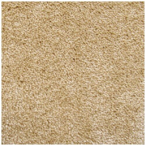 マットＳ Ｗ１５００×Ｄ９００ｍｍ シャンペーンAM00089 クリーンテックス ジャパン WWW_OLIVIERBERNSTEIN_COM