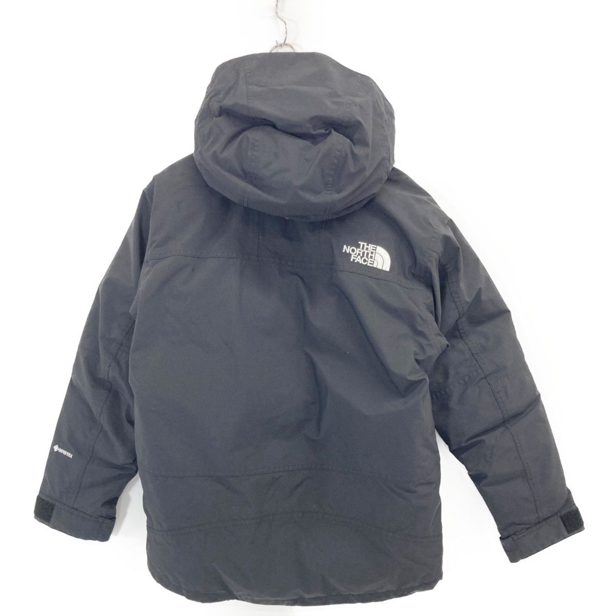 有田光弘先生サイン入り ゼニガメ ○ 第1弾拡張パック 有田光弘先生