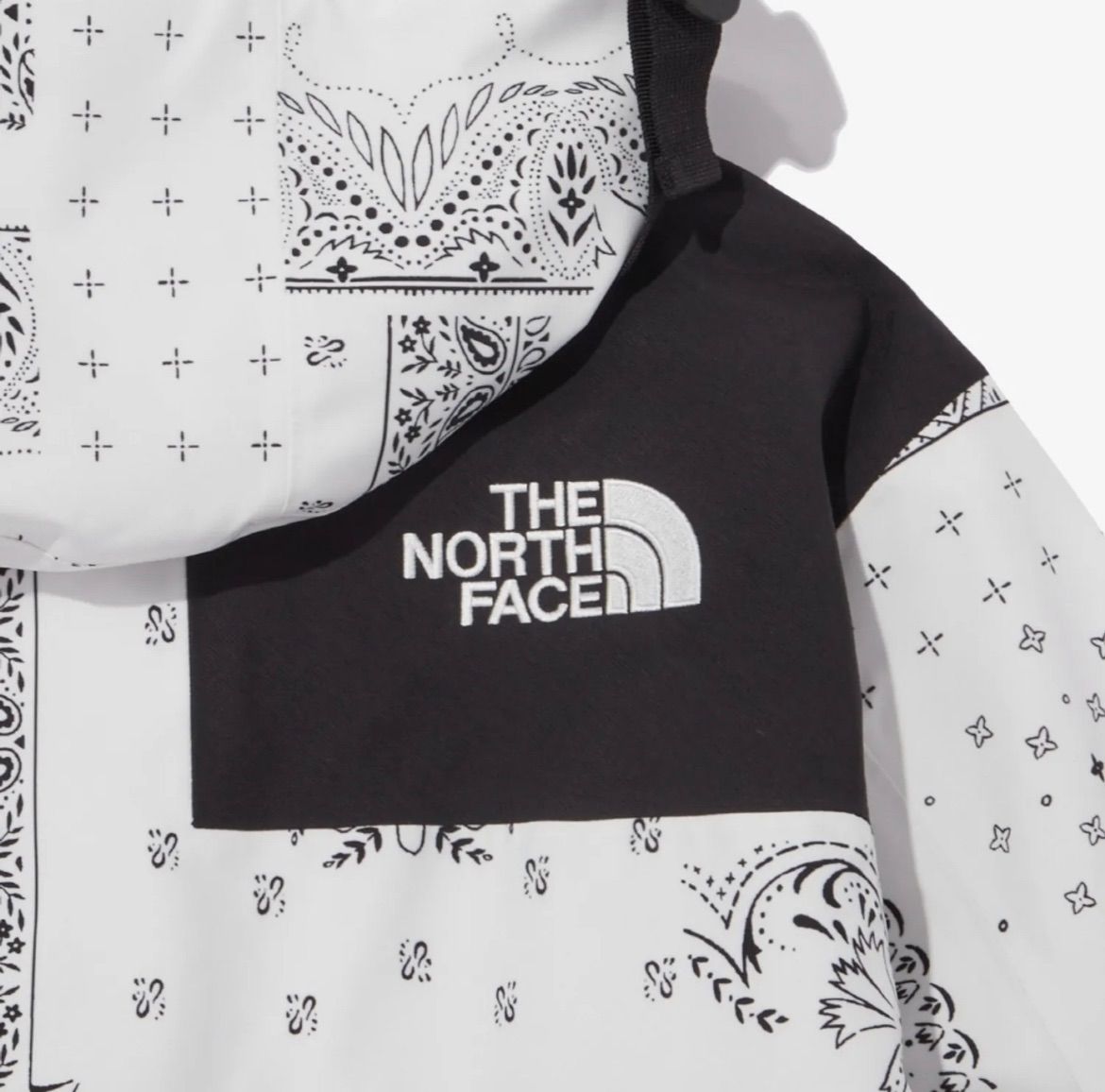 THE NORTH FACE ノースフェイス マウンテンジャケット