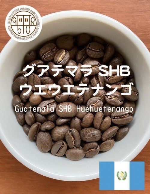 自家焙煎ストレートコーヒー豆 グアテマラ SHB ウエウエテナンゴ100g-0