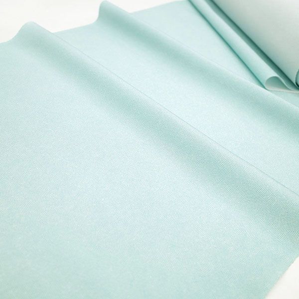 鮫 ワンランク上の