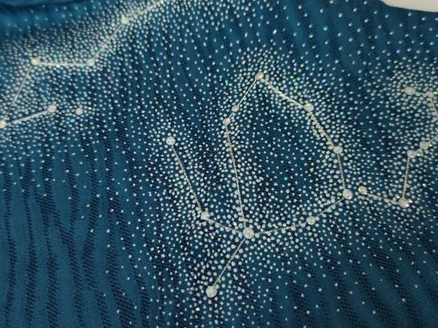 平和屋本店□極上 道中着 スリーシーズン 春夏秋 塵除け ロング丈 星座