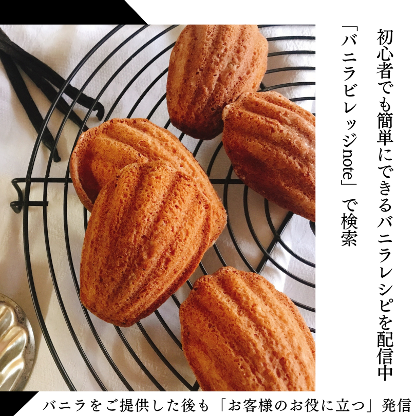 タヒチ種バニラビーンズ 500g 通常グレード 135cm以上