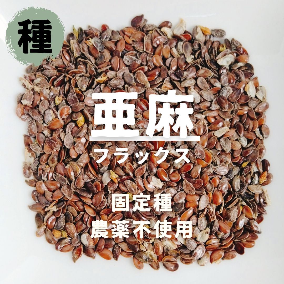 【種】亜麻（あま） フラックス 農薬不使用 50粒 - メルカリ