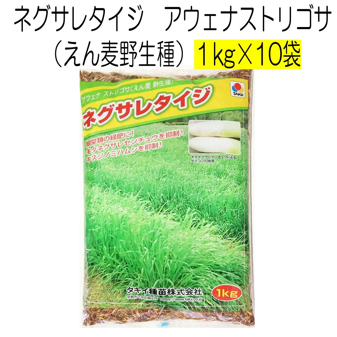 ネグサレタイジ アウェナストリゴサ えん麦野生種 種子 10kg 種 タキイ種苗 緑肥の種 大根や人参が にできます