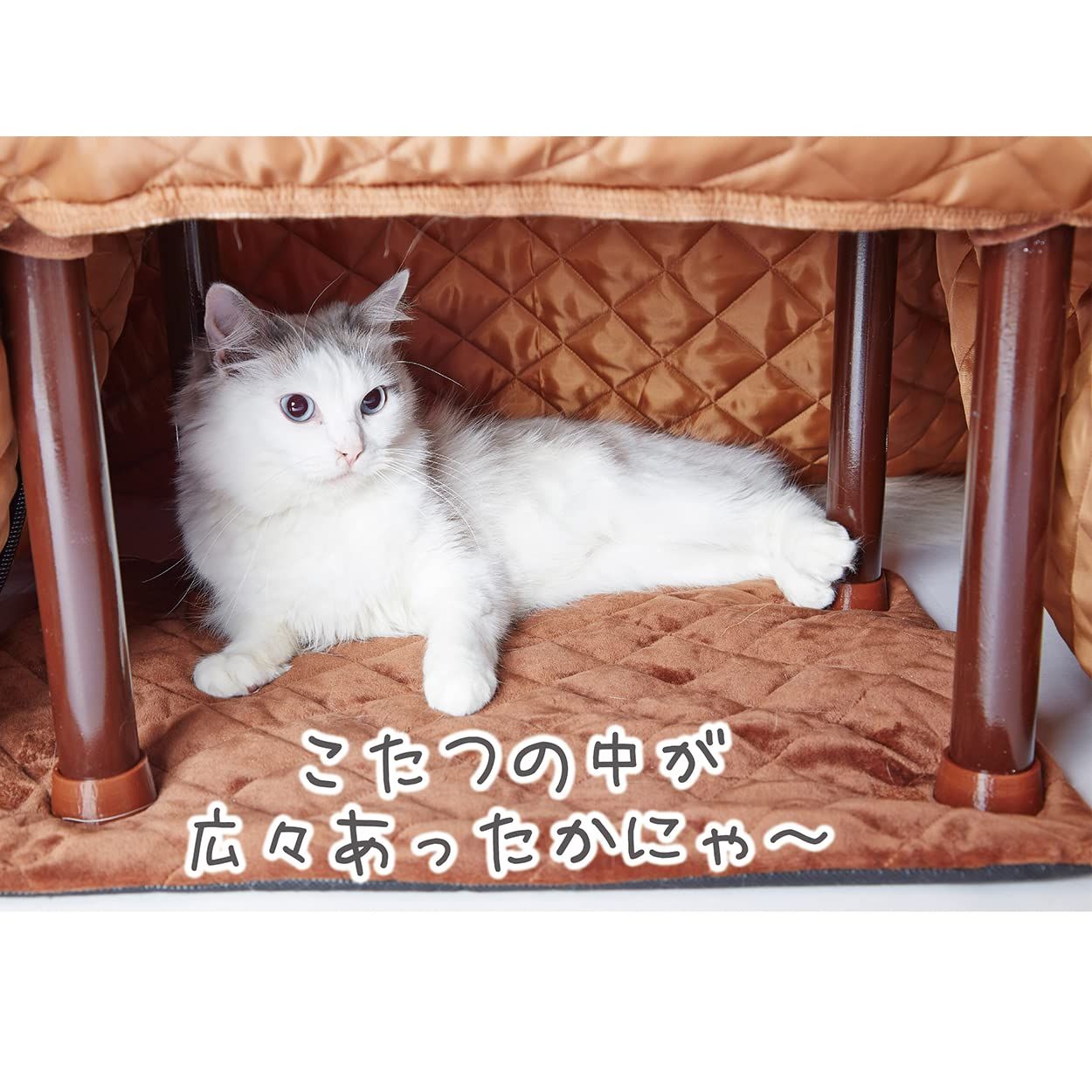 犬猫用ヒーター