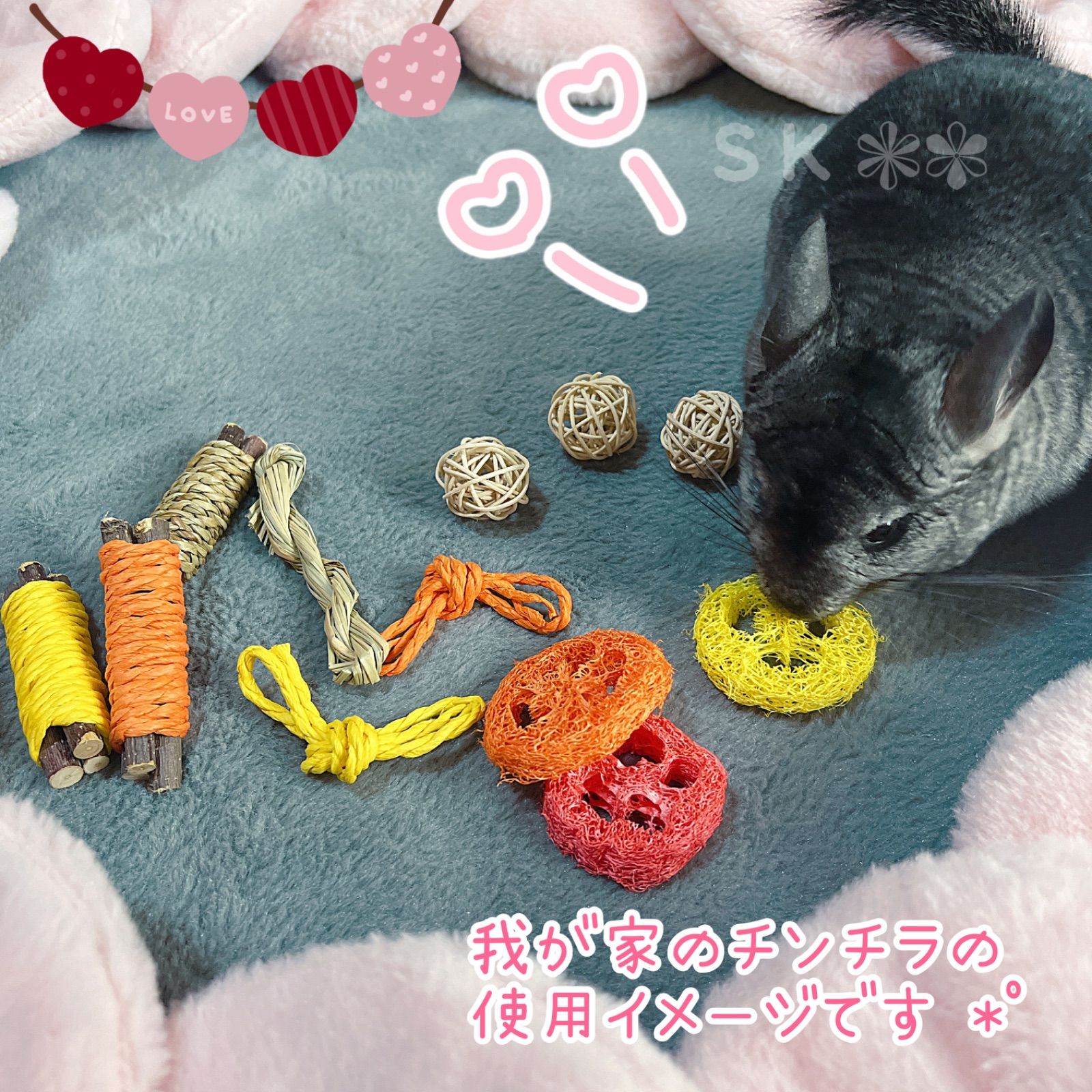 小動物 かじり木 12点set - 小動物用品