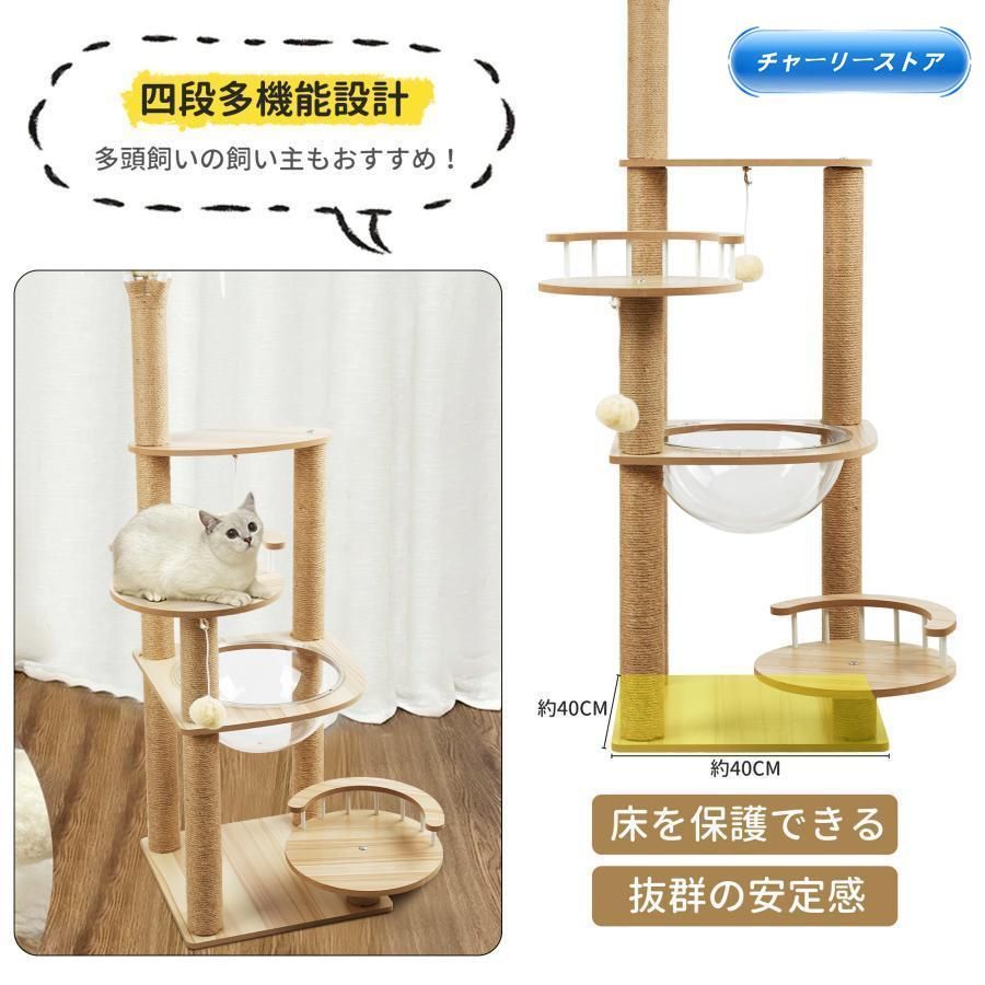 シニア 宇宙船