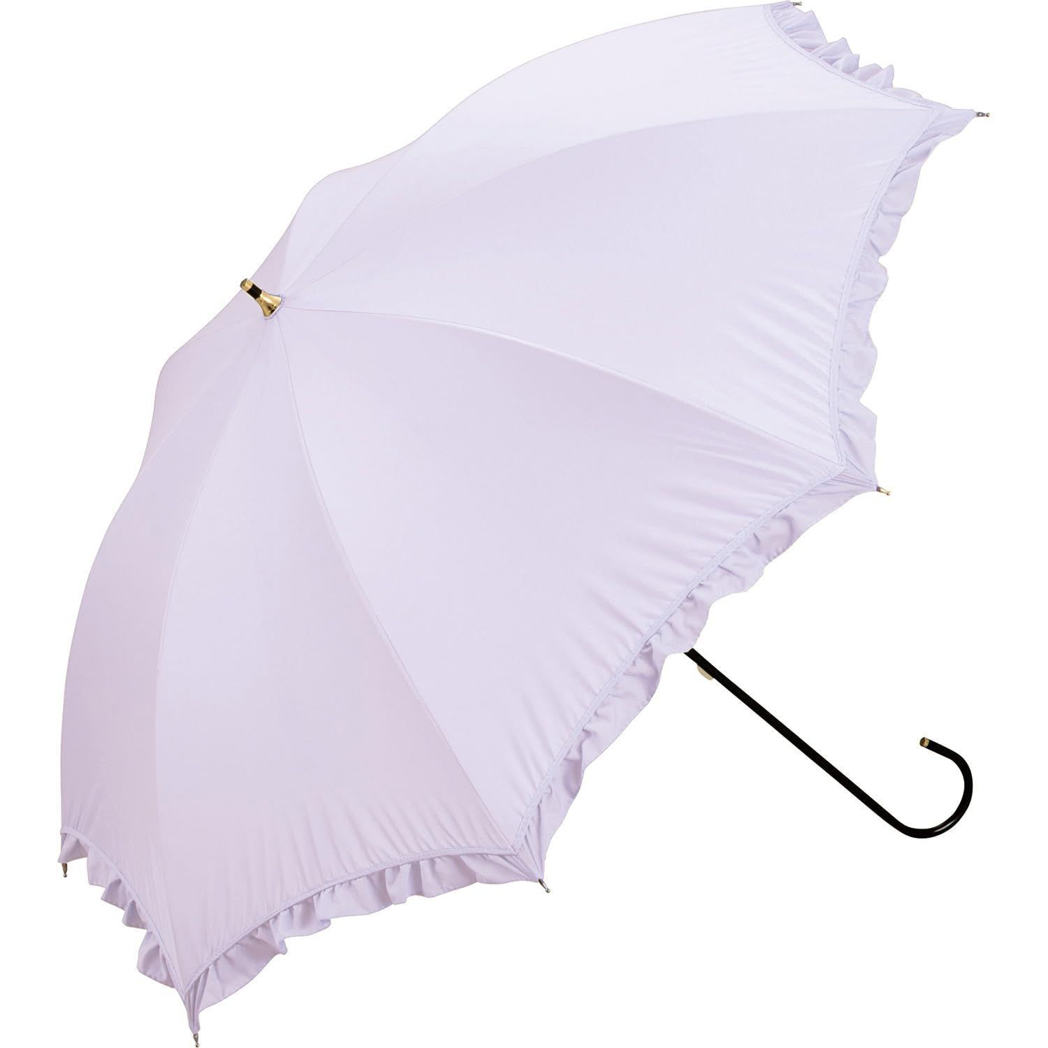 ☆白衣ホリダ☆ 群生 ゼブラホリダ ホリダ 幅11.8cm 🌵 太ゼブラ×太白