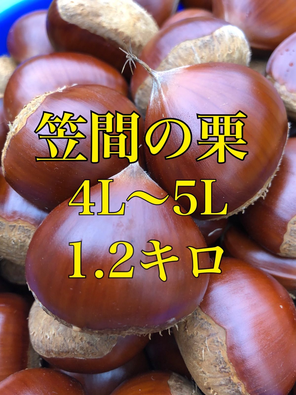 笠間の栗 4L-5L 1.2kg⭐︎筑波⭐︎新品 - メルカリ